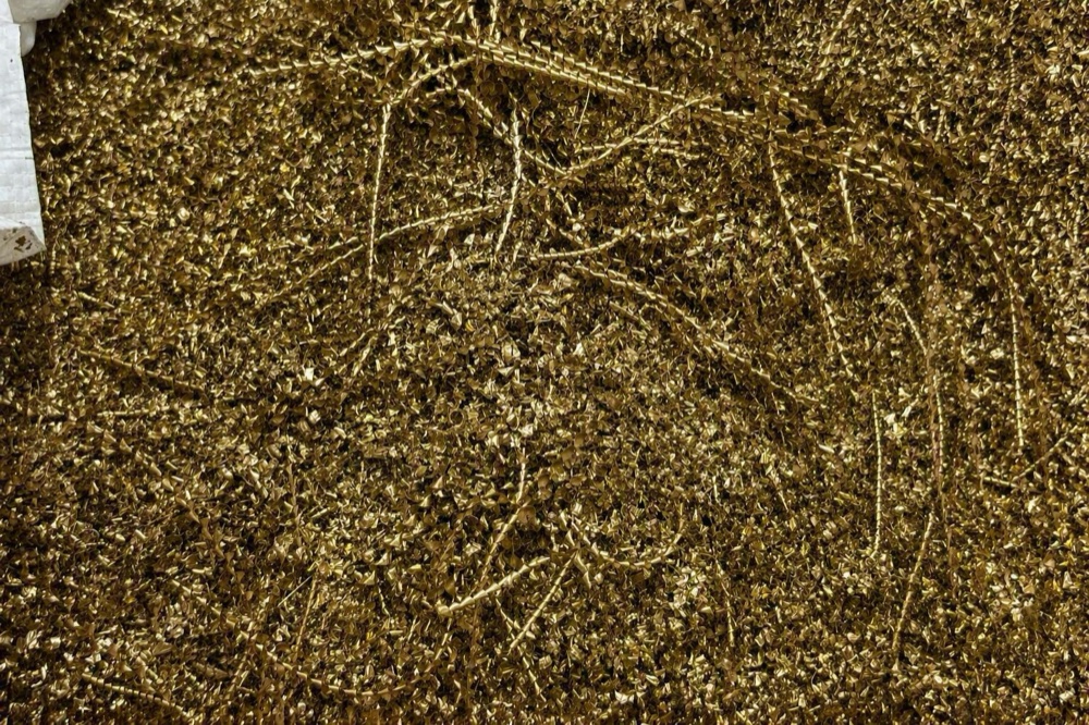 Brass chip collection